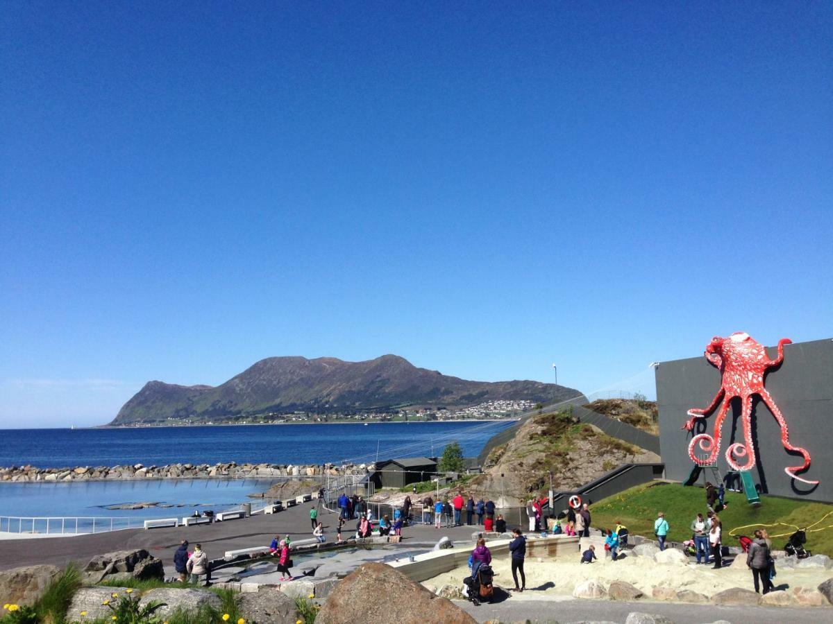 Four Monkeys Hotel Ålesund Kültér fotó